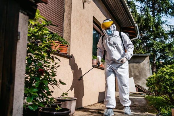 Best Pest Removal Services  in Hawthorne, NV