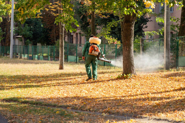 Best Affordable Pest Control Services  in Hawthorne, NV
