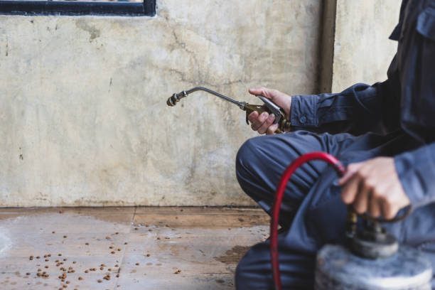 Pest Control for Restaurants in Hawthorne, NV